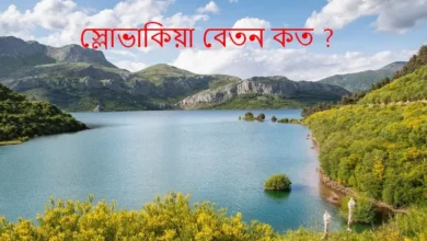 স্লোভাকিয়া বেতন কত Visabarta
