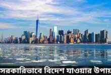 সরকারিভাবে বিদেশ যাওয়ার উপায়