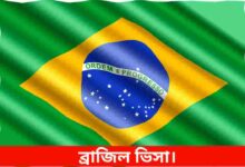ব্রাজিল ভিসা