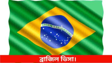 ব্রাজিল ভিসা