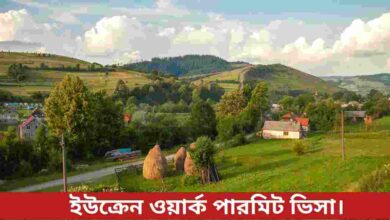 ইউক্রেন ওয়ার্ক পারমিট ভিসা