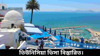 তিউনিসিয়া টুরিস্ট ভিসা