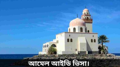 আমেল আইডি ভিসা