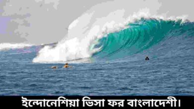 ইন্দোনেশিয়া ভিসা ফর বাংলাদেশী